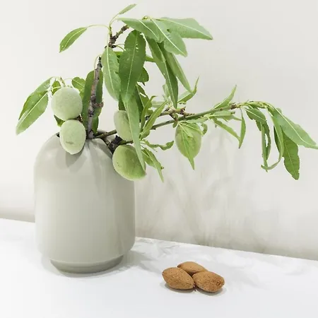 Almond In City Center Διαμέρισμα *